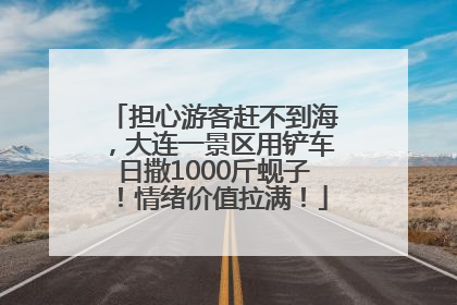 担心游客赶不到海，大连一景区用铲车日撒1000斤蚬子！情绪价值拉满！