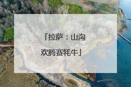拉萨：山沟欢腾赛牦牛
