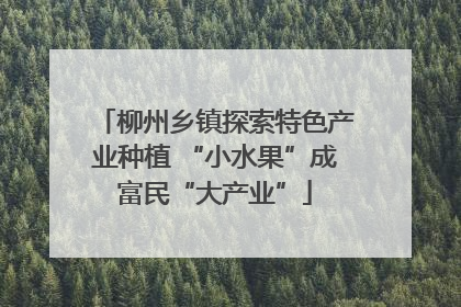 柳州乡镇探索特色产业种植 “小水果”成富民“大产业”