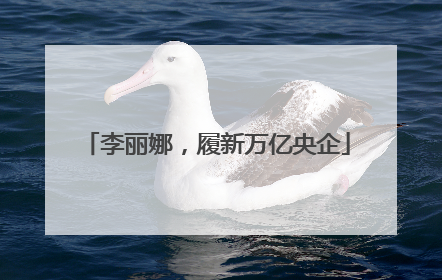 李丽娜，履新万亿央企