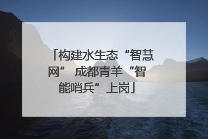 构建水生态“智慧网” 成都青羊“智能哨兵”上岗