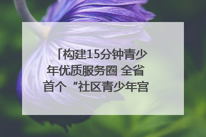 构建15分钟青少年优质服务圈 全省首个“社区青少年宫”落地成都成华区｜一老一小总关情