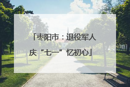 枣阳市：退役军人庆“七一”忆初心
