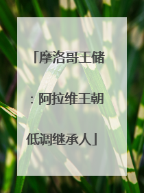 摩洛哥王储：阿拉维王朝低调继承人