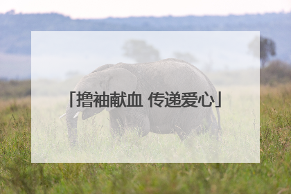 撸袖献血 传递爱心