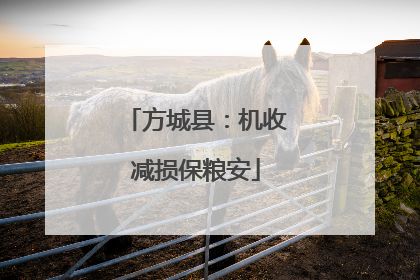 方城县：机收减损保粮安