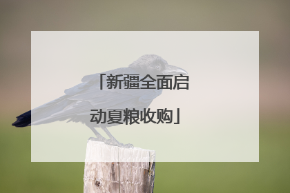 新疆全面启动夏粮收购