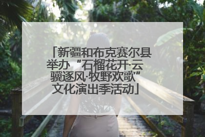 新疆和布克赛尔县举办“石榴花开·云骥逐风·牧野欢歌”文化演出季活动