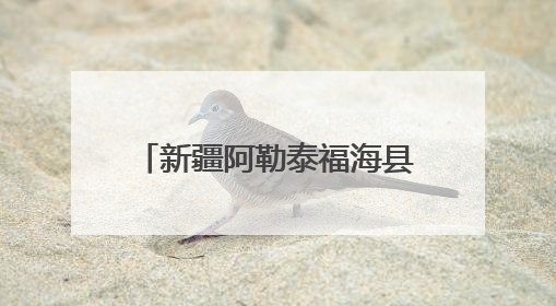 新疆阿勒泰福海县第二届沙尔布拉克草原运动会盛大开幕 展现草原文化魅力