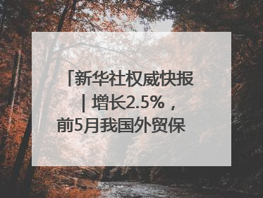 新华社权威快报｜增长2.5%，前5月我国外贸保持较强韧性