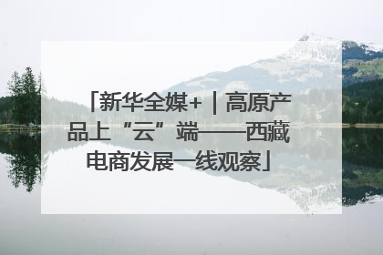 新华全媒+｜高原产品上“云”端——西藏电商发展一线观察