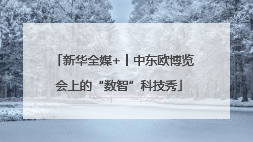 新华全媒+丨中东欧博览会上的“数智”科技秀