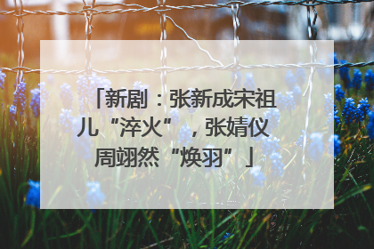 新剧：张新成宋祖儿“淬火”，张婧仪周翊然“焕羽”