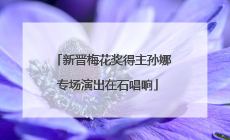 新晋梅花奖得主孙娜专场演出在石唱响