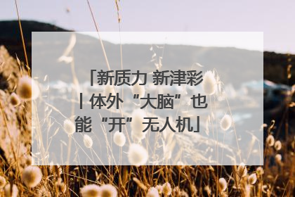 新质力 新津彩丨体外“大脑”也能“开”无人机