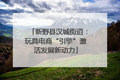新野县汉城街道：玩具电商“引擎”激活发展新动力