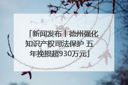 新闻发布丨德州强化知识产权司法保护 五年挽损超930万元