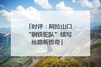 时评：阿拉山口“钢铁驼队”续写丝路新传奇