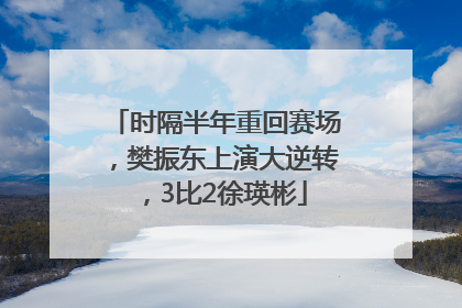时隔半年重回赛场，樊振东上演大逆转，3比2徐瑛彬