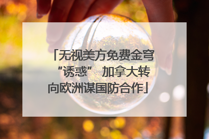 无视美方免费金穹“诱惑” 加拿大转向欧洲谋国防合作