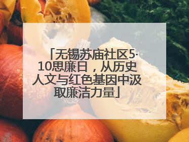 无锡苏庙社区5·10思廉日，从历史人文与红色基因中汲取廉洁力量