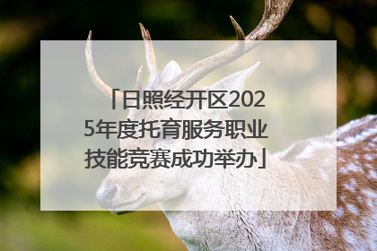 日照经开区2025年度托育服务职业技能竞赛成功举办