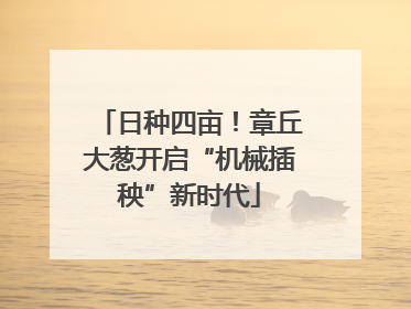 日种四亩！章丘大葱开启“机械插秧”新时代