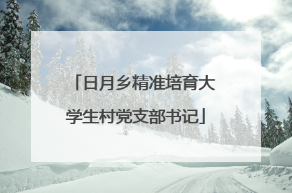 日月乡精准培育大学生村党支部书记