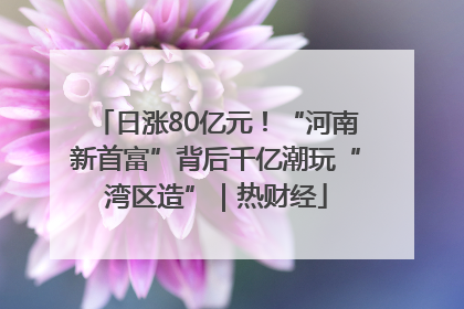 日涨80亿元！“河南新首富”背后千亿潮玩“湾区造”｜热财经