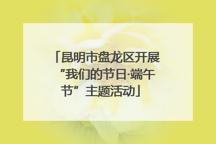 昆明市盘龙区开展“我们的节日·端午节”主题活动