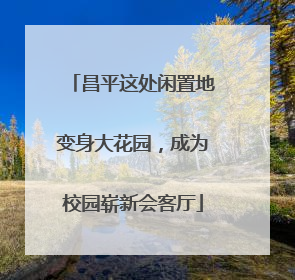 昌平这处闲置地变身大花园，成为校园崭新会客厅