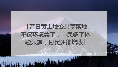 昔日黄土地变共享菜地，不仅环境美了，市民多了体验乐趣，村民还能增收
