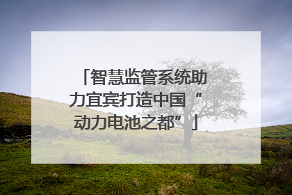 智慧监管系统助力宜宾打造中国“动力电池之都”
