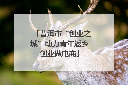 普洱市“创业之城”助力青年返乡创业做电商