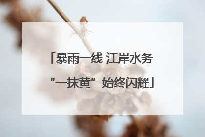 暴雨一线 江岸水务“一抹黄”始终闪耀