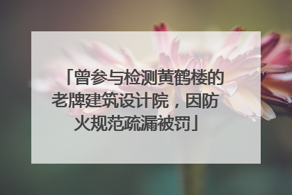 曾参与检测黄鹤楼的老牌建筑设计院，因防火规范疏漏被罚