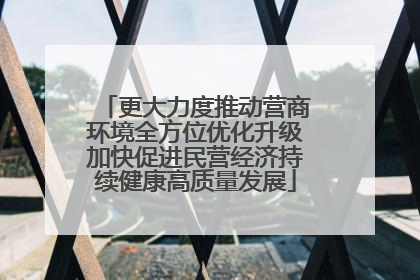 更大力度推动营商环境全方位优化升级加快促进民营经济持续健康高质量发展