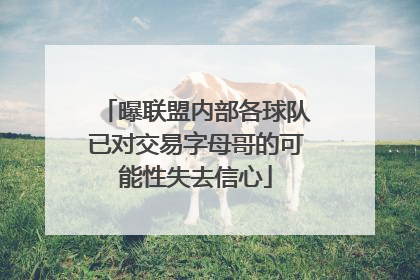 曝联盟内部各球队已对交易字母哥的可能性失去信心