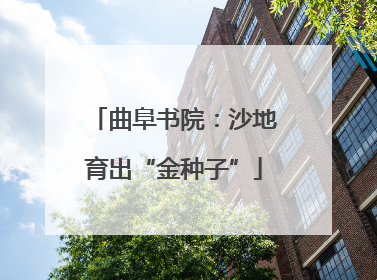 曲阜书院：沙地育出“金种子”