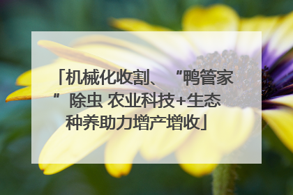 机械化收割、“鸭管家”除虫 农业科技+生态种养助力增产增收