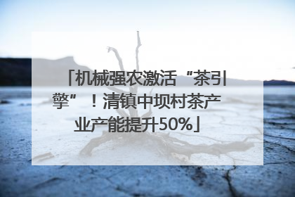 机械强农激活“茶引擎”！清镇中坝村茶产业产能提升50%