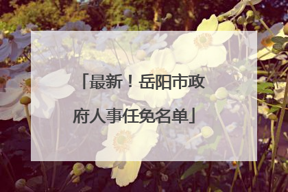 最新！岳阳市政府人事任免名单