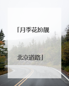 月季花扮靓北京道路