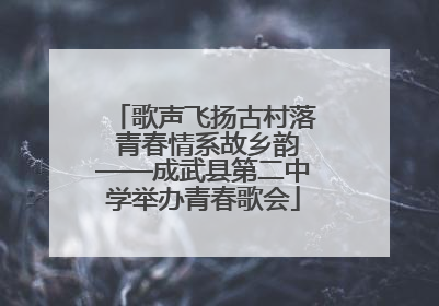 歌声飞扬古村落 青春情系故乡韵——成武县第二中学举办青春歌会
