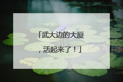 武大边的大厦，活起来了！