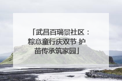 武昌百瑞景社区：粽意童行庆双节 护苗传承筑家园
