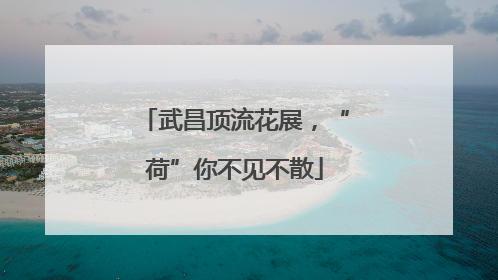 武昌顶流花展，“荷”你不见不散