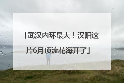 武汉内环最大！汉阳这片6月顶流花海开了