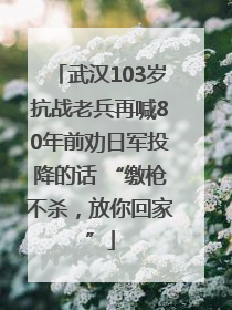 武汉103岁抗战老兵再喊80年前劝日军投降的话 “缴枪不杀，放你回家”