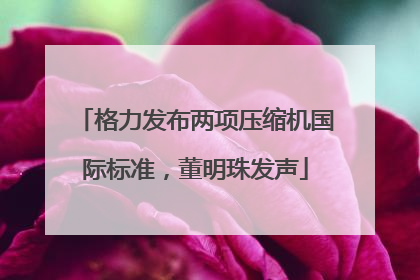 格力发布两项压缩机国际标准，董明珠发声